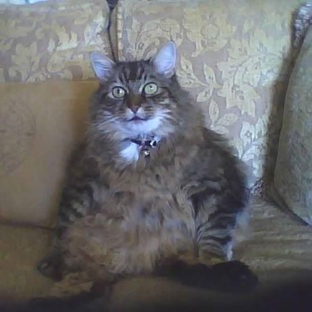 Meet your Posher, Brenda